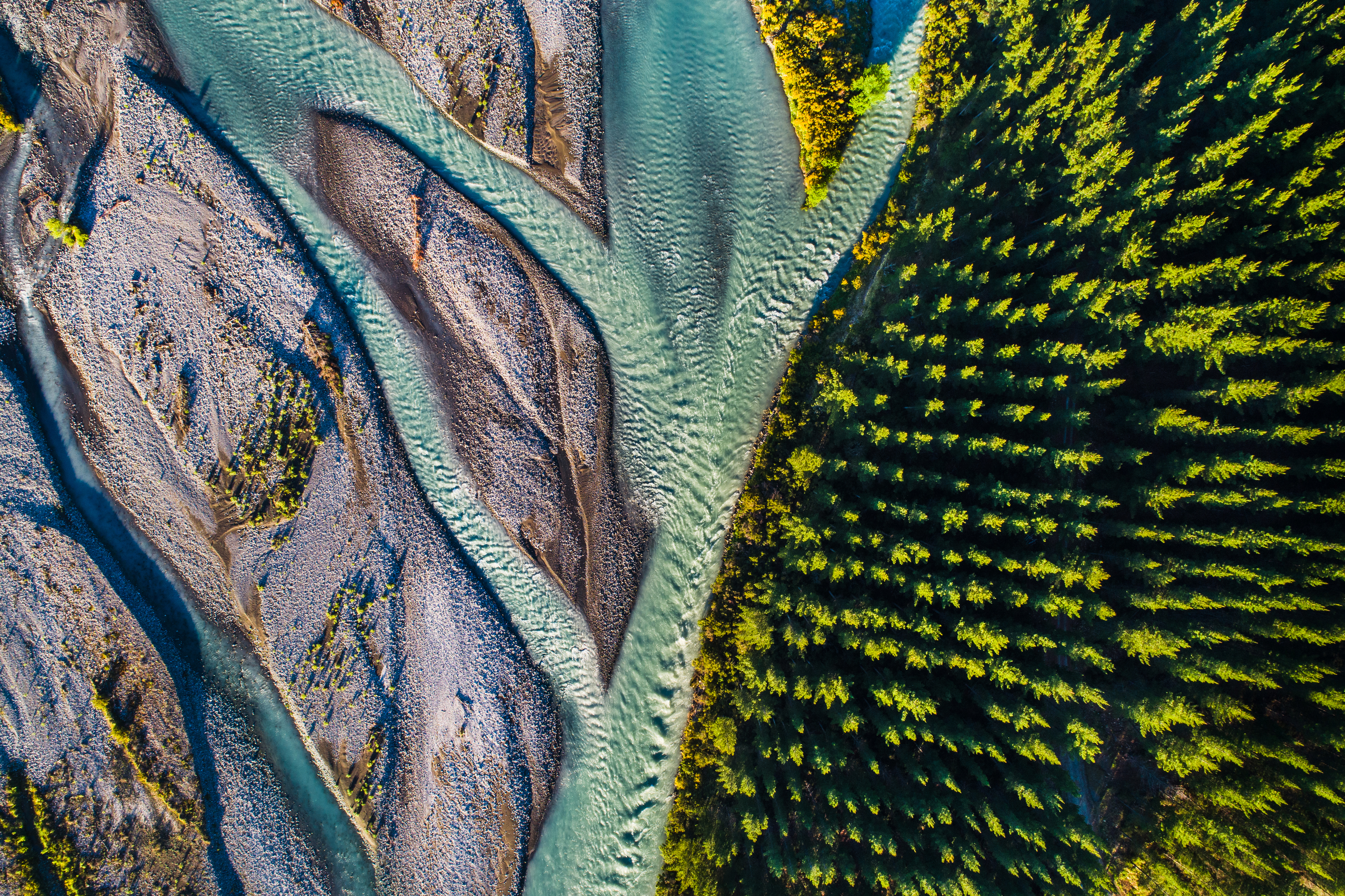 iStock 1076579640 (1)